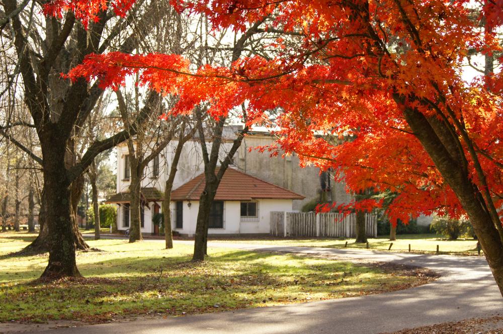 Maison d'automne